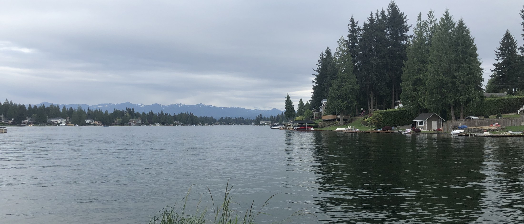 View across Lake Tapps toward a fir-lined shore with waterfront homes and private docks, distant Cascade foothills visible under an overcast sky